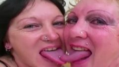 Old Tattooed Thick Skanky Lesbians
